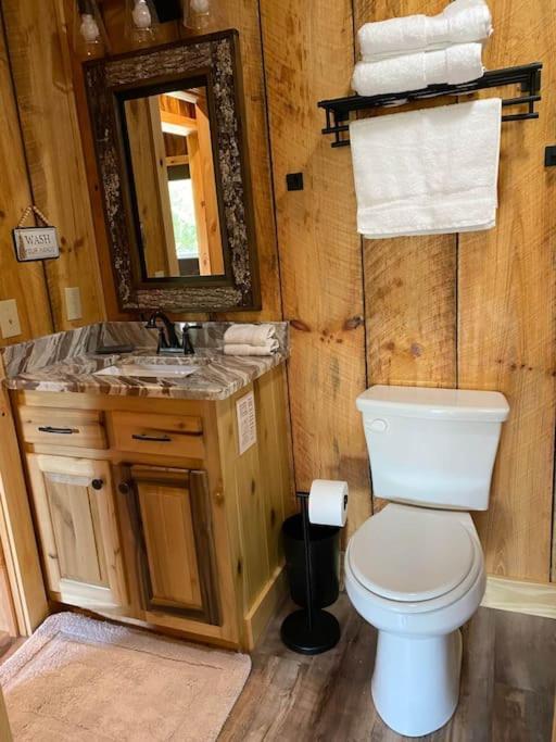 The Llaguna Lodge - New Cabin, Sleeps 10, Fire Pit, Hot Tub, In Blue Ridge , Ga Buitenkant foto