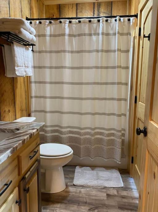 The Llaguna Lodge - New Cabin, Sleeps 10, Fire Pit, Hot Tub, In Blue Ridge , Ga Buitenkant foto